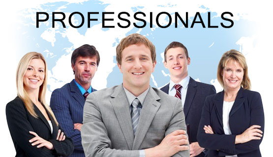 Professionals