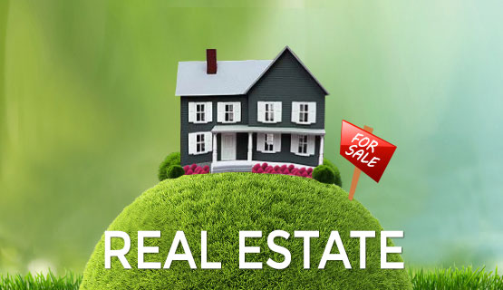 Real Estate